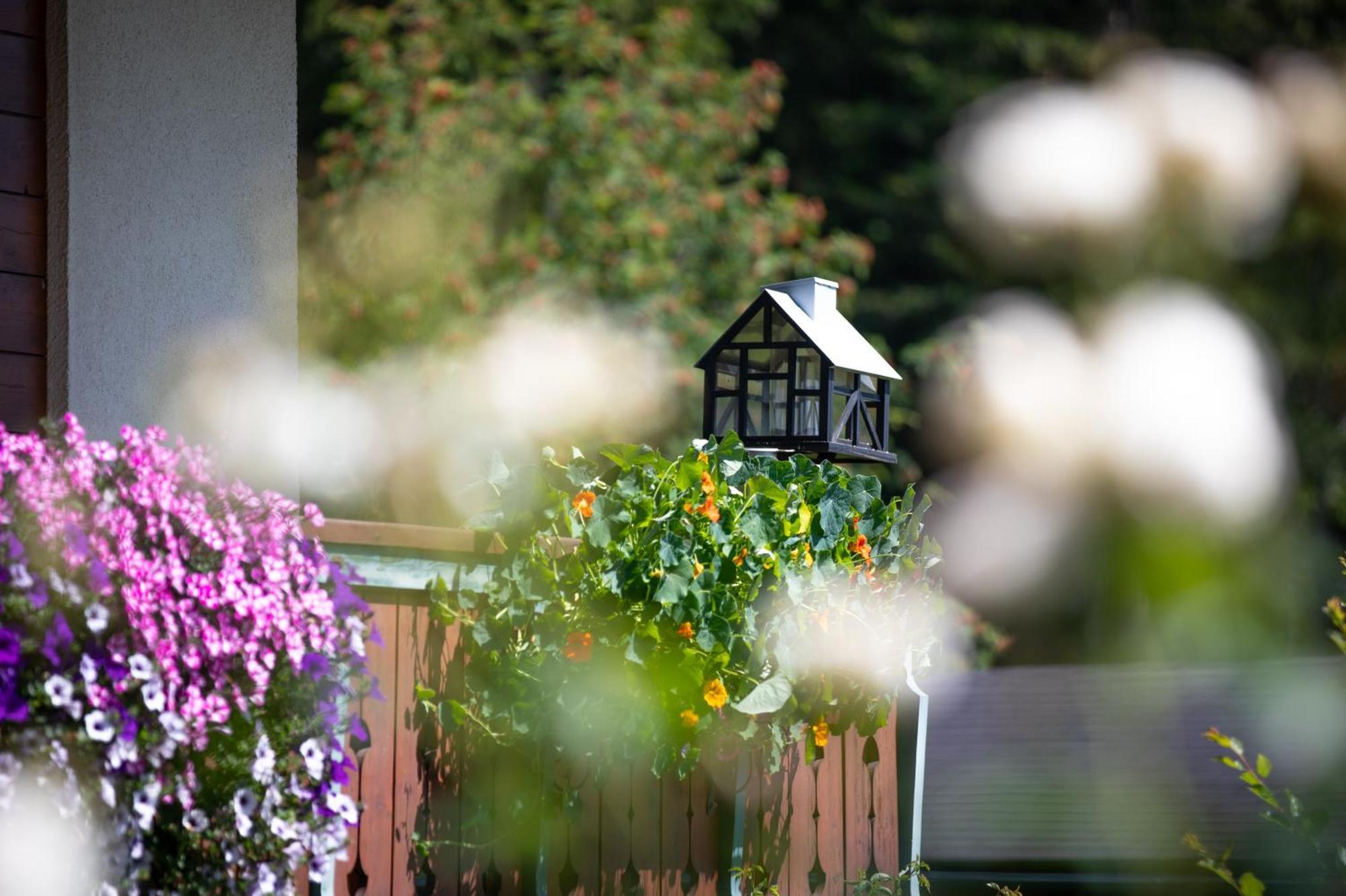 Alpenhof Bed & Breakfast Ramsau am Dachstein Bagian luar foto